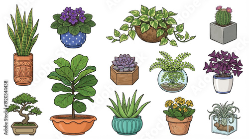 collection of various potted plants and succulents in different pots and planters