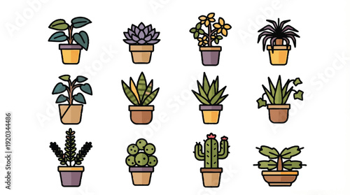 Collection of various potted plants and succulents in different pots