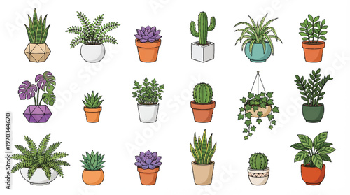Collection of various potted plants and succulents in different pots on white