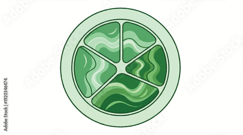 Lime wedge cut into sections illustration green citrus fruit