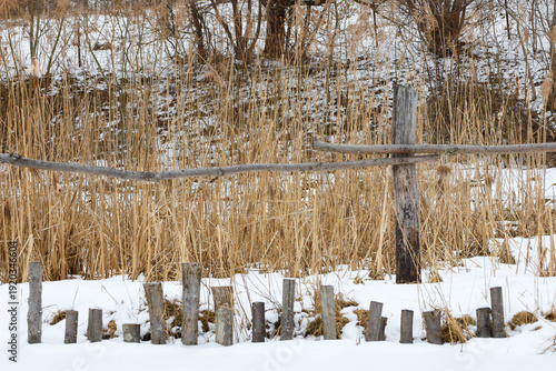 ​A simple wooden fence made of branches stands in the middle of a snowy bank surrounded by tall dry reeds. The rural winter landscape conveys a peaceful atmosphere of nature, where rough wooden posts 