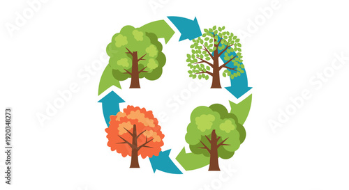 Cycle of Seasons Tree: Spring, Summer, Autumn, Winter - Nature's Transformation