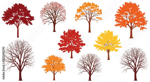 Collection of Autumn Trees with Colorful Foliage and Bare Branches