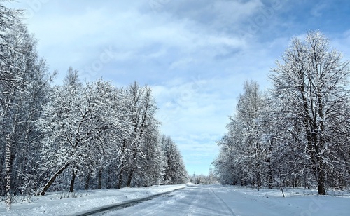 Winter landscape with snowy road and trees.