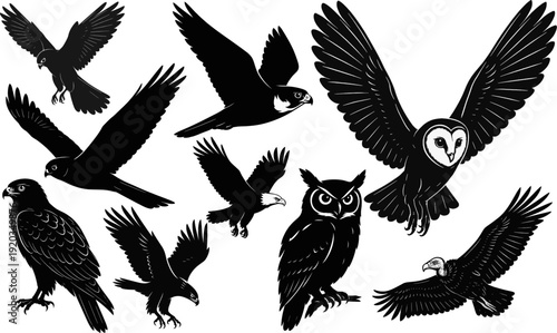 Birds of prey raptor silhouette collection vector set