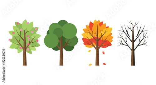 Four Seasons Trees: Spring, Summer, Autumn, Winter - Nature Cycle