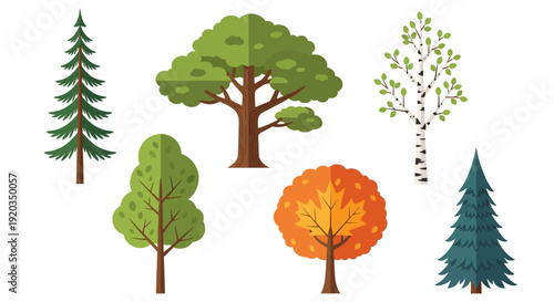 Diverse Collection of Stylized Trees: Evergreen, Deciduous, Birch, Autumn
