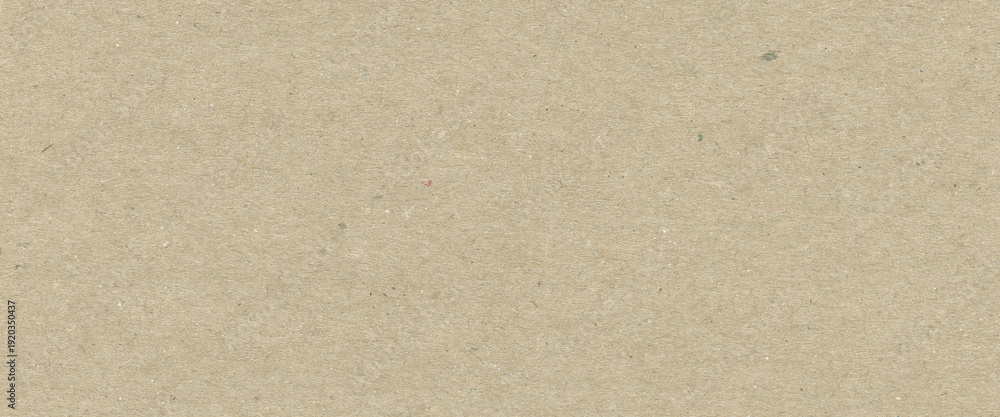 Fototapeta premium Paper kraft texture background. Natural material recycled cardboard for packaging. Old sheet blank surface for design