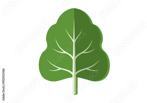 Vector Illustration of Vibrant Green Leaf with Detailed Veins and Rounded Edges on White Background