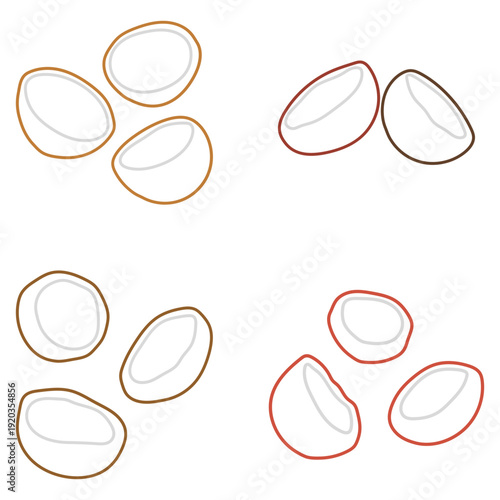 Coconut Fruit Cut in Half Outline Illustration Set