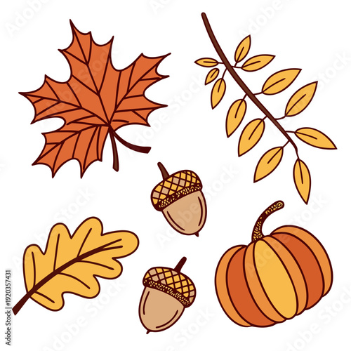Autumn Elements: Maple Leaf, Oak Leaf, Acorns, Pumpkin