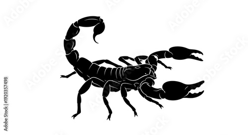 A striking black silhouette of a scorpion showcasing its curved tail and predatory form high quality