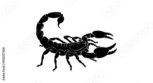 A striking black silhouette depicts a detailed scorpion with a curved tail and pincers high quality