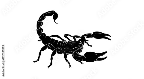 A striking black silhouette depicts a detailed scorpion with its tail arched and claws poised