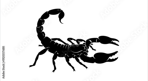 A striking silhouette of a scorpion depicted in a bold minimalist black design on white