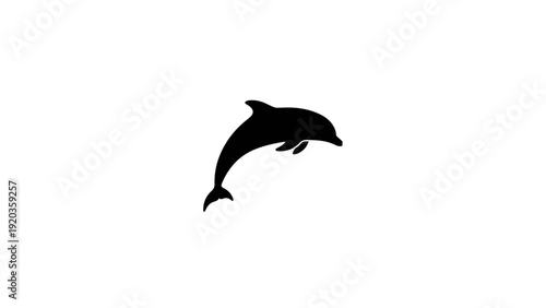 Silhouette of a dolphin leaping out of the water on a white background, symbolizing freedom and nature