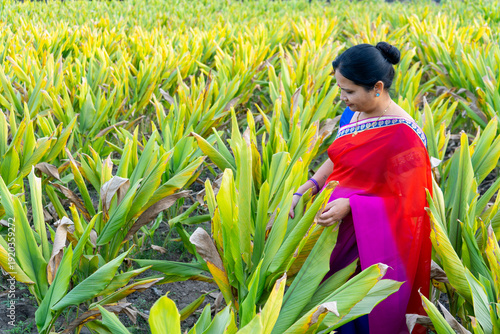 Happy Indian woman in the turmeric field