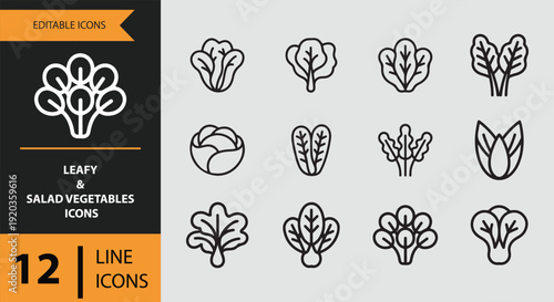 Leafy and Salad Vegetables Outline Icon Collection for Vegan Menus