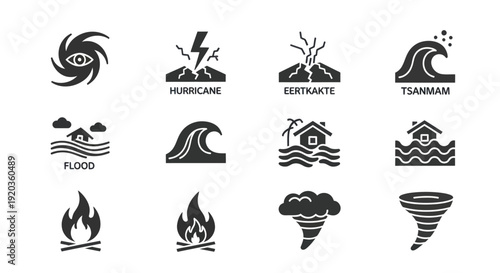 Natural Disaster Icons: Hurricane, Flood, Earthquake, Tsunami, Fire, Tornado