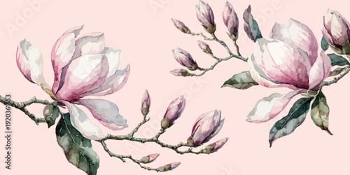 Soft watercolor magnolia flower branches featuring blooming blossoms and tender buds, perfect as exquisite spring and summer nature-inspired decorative elements for elegant design projects