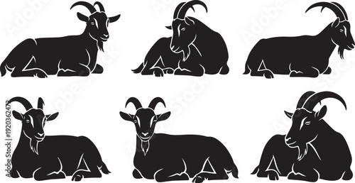 Black and white goats in different lying down positions