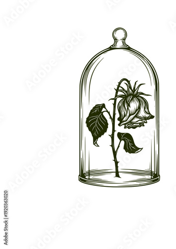 Dark Academia Wilted Rose in Bell Jar Sticker Silhouette. Gothic Romanticism and Vintage Floral Aesthetic Design Vector.