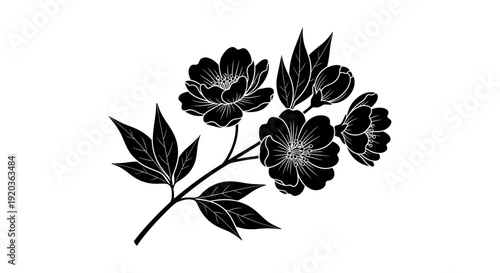 Black and white illustration of a floral branch with detailed blooms and leaves high quality professional