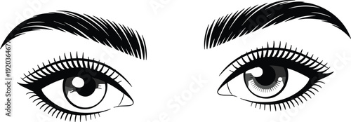 Female eyes and eyebrows vector illustration with detailed lashes, realistic gaze expression isolated on white background for beauty, makeup and cosmetic design.