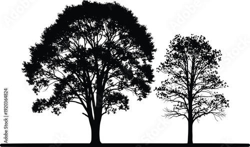 Black silhouette vector illustration of two deciduous leafy trees standing on a flat horizon line, nature landscape elements, environmental icons,