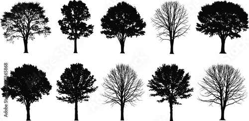 Black silhouette vector illustration set of deciduous trees, oak and maple outlines, forest nature landscape elements, botanical garden design icons,