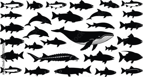 Black silhouette vector illustration set of various fish species and a large whale, marine life icons, aquatic ocean animal collection,