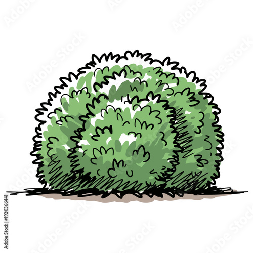 A whimsical illustration of a lush green bush with fluffy, rounded foliage, casting a subtle shadow on the ground below, evoking a sense of organic growth and natural beauty in a simplified art style