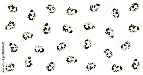 Seamless Pattern of Spotted Quail Eggs on White Background Gourmet Food Illustration