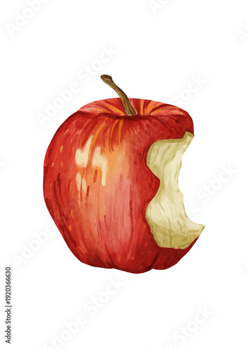 Watercolor bitten red apple isolated on white background, hand painted realistic food illustration