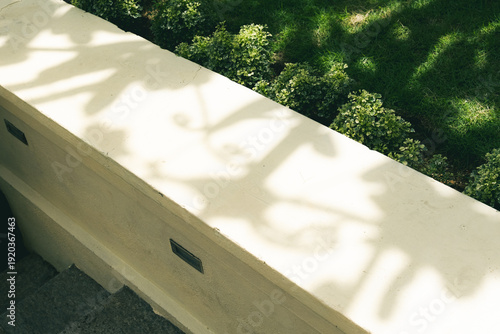 壁に写っている植物の影