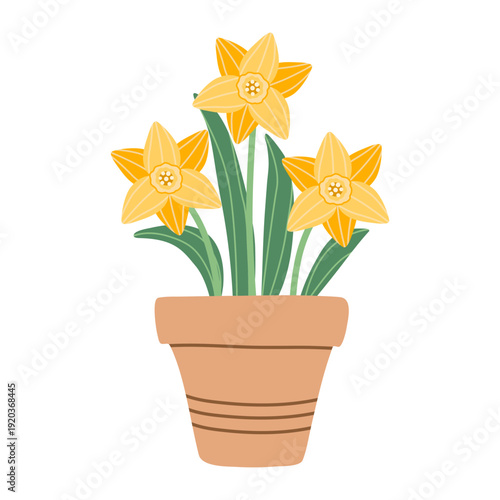 Spring yellow daffodils in a clay garden pot. Flat style floral illustration on white background