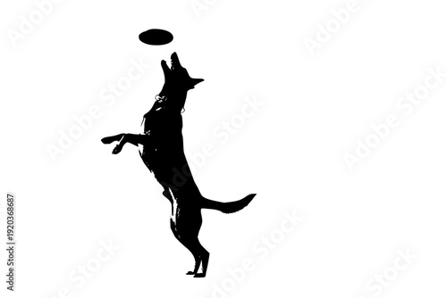 Belgian Malinois Dog Vertical Jump for Frisbee Silhouette Vector for K9 Training and High Performance Athletics