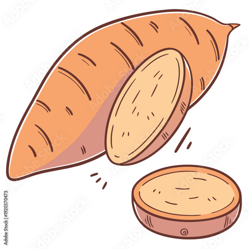 Sweet Potato Slice and Whole Root Vegetable, Hand-Drawn Style