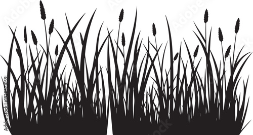 Black Silhouette of Cattails and Grasses on White Background