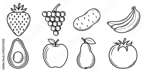 A collection of eight common fruits illustrations