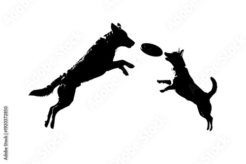 Two Dogs Jumping for Same Frisbee Silhouette Vector for Social Pet Play and Competitive Canine Activity