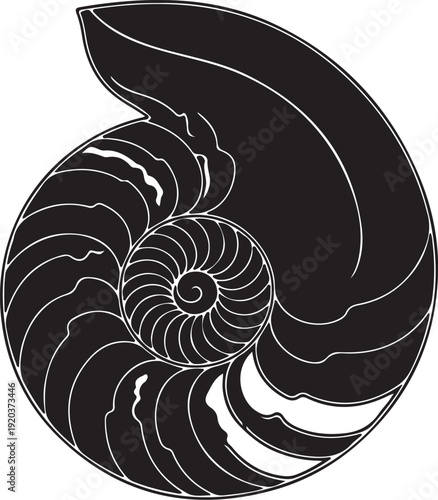 Set of silhouette black sea shells, algae and starfish. Vector illustration isolated on a white background.