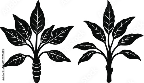 Plant silhouette illustration set, botanical leaves icons, black vector nature symbols isolated on white background minimal design flat graphic collection