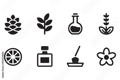 Aromatherapy icons set with pine cone herbal branch essential oil bottle incense stick and flower symbols