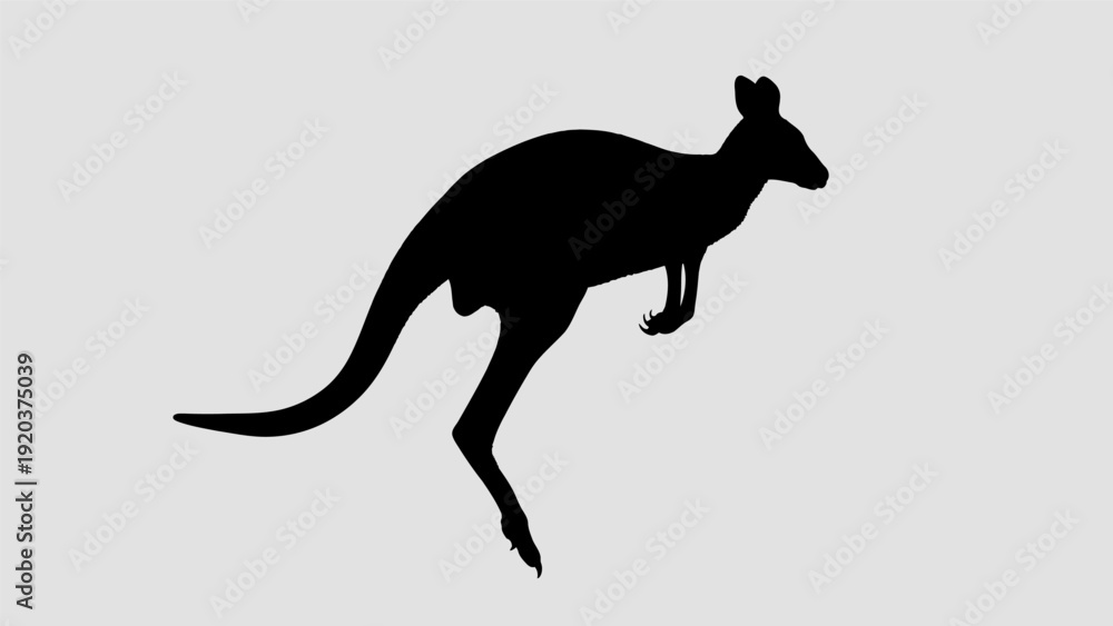 Fototapeta premium kangaroo silhouette vector illustration