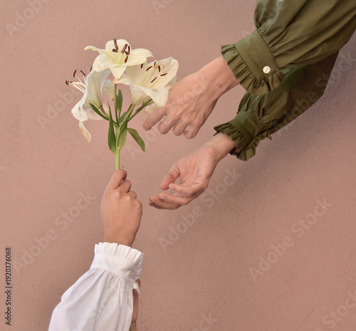 Fotografie Woman giving white lily flower to another person – love and gratitude concept