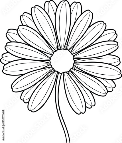 Vector line art illustration of a blooming daisy flower for coloring book botanical sketches and floral design concepts