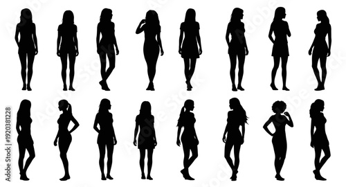 Fashionable woman silhouette