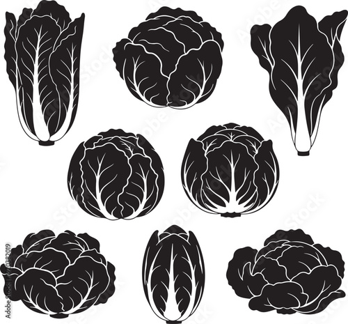 Cabbage vector icon set. Includes seven cabbage icons. Created in black and white line art style.