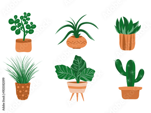 Modern indoor houseplants in pots set isolated on white background. Hand drawn potted plants